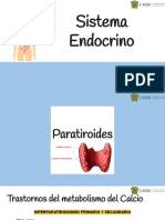 Sistema Endocrino