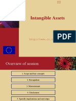 Intangible Assets Slides - Final