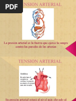 Tension Arterial