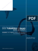 Catálogo Ilustrado Dos Tubarões e Raias Dos Açores PDF