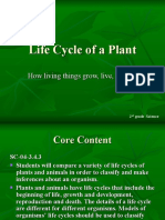 Plant Life Cycles