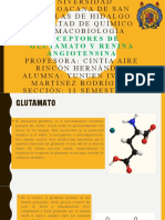 Receptores de Glutamato y Renina Angiotensina