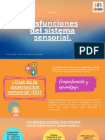 Disfunciones Del Sistema Sensorial.