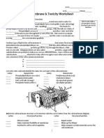 Cell Membrane & Tonicity Worksheet