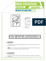 El Reino Plantae para Quinto de Secundaria