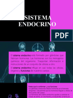 Sistema Endocrino