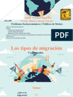 11° Tipos de Migración