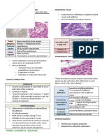 Micro - Male Repro (Sec A) PDF