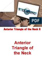 Anterior Triangle of The Neck II