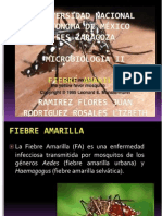 2752-Mgii-Fiebre Amarilla