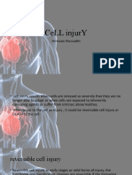 Cell Injury: DR - Husam Shawaqfeh