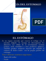 Patologias Del Estomago