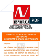 Seguridad y Salud Ocupacional Modulo II Ibnorca PDF