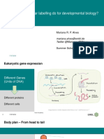 Title What Can Molecular Labelling Do For Developmental Biology?