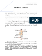 Sistemul Nervos Referat Informatica