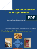 Impacto e Recuperação de Um Ecossistema Amazônico - Lago Batata