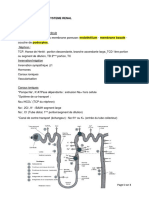 03 Systeme Renal