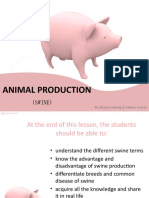 Animal Production: (Swine)