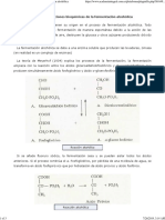 Transformaciones Bioquímicas de La Fermentación Alcohólica