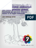 Sostenibilidad Ambiental PDF