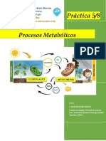 BIO-018 Practica 5 y 8 - Procesos Metabólicos (Sabrina Caraballo)