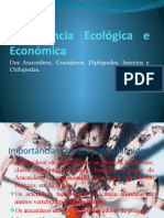 Importância Ecológica e Económica Do Filo Artrópode