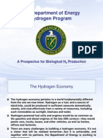 U.S. Department of Energy Hydrogen Program: A Prospectus For Biological H Production