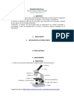 Informe Práctica 9 Determinación de Ácido Ascórbico