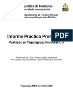 Sitio Web - Informe Final - Practica Profesional 2020