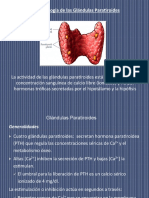 2 Paratiroides 