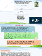 Reforestación en El Predio de La Asociación de Trabajadores 5 de Septiembres y La Comunidad Shuar