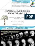 Anatomia Del Pie