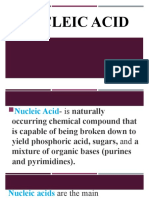 Nucleic Acid