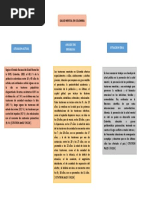 Diagrama Salud Mental