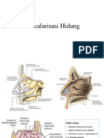 Vaskularisasi Hidung