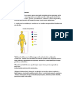 Guía Antropometria Basico