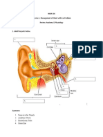 Exercise 1-Management of Client With Ear Problem Review: Anatomy & Physiology