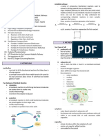 Biochemical Energy Production