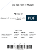 Structure and Function of Muscle: ANSC 3404