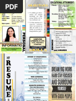 Sample Brochure Resume