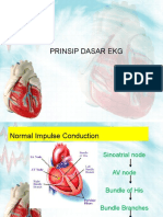 Prinsip Dasar & Interpretasi Ekg