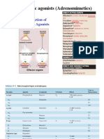 Adrenergic Agonists 2020 PDF