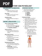 Anatomy and Physiology Notes