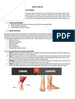 Sprain: Strain: Dislocation: Fracture