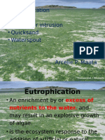 Eutrophication - Tsunami - Salt Water Intrusion - Quicksand - Waterspout