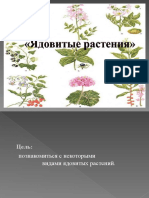 ядовитые растения