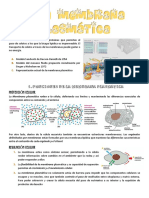 Tema 2. Membrana Plasmática PDF