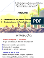 Aula 02 - Caracteristicas Das Plantas e Estabelecimento Do Pasto