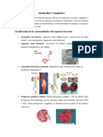 Anomalías Congénitas