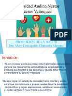 Promocion de La Salud Dra Mery Concepcion Chancolla Mamani